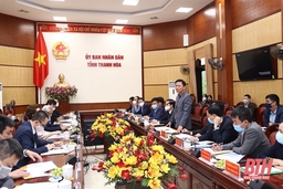 Quan tâm, phối hợp, tạo điều kiện thuận lợi cho Tập đoàn BRG triển khai các dự án đầu tư trên địa bàn tỉnh