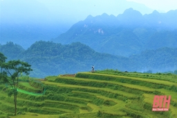 Xây dựng các “điểm đến xanh” để thu hút khách du lịch