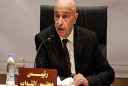 Chủ tịch Quốc hội Libya Aqilah Saleh dự định ra tranh cử tổng thống