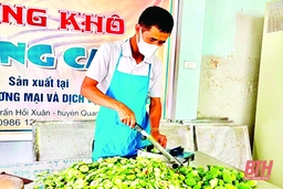 Nhân rộng các chuỗi liên kết và tiêu thụ sản phẩm vùng, miền