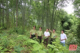 Phát triển rừng bền vững rừng phòng hộ Thường Xuân giai đoạn 2021-2030
