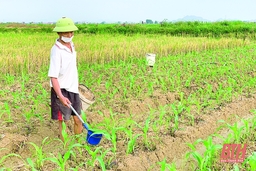 Bảo đảm nguồn nước sản xuất trong mùa khô