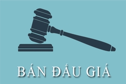 Thông báo đấu giá tài sản