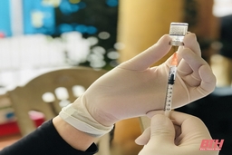 TP Thanh Hóa tiêm vắc xin phòng COVID-19 cho trẻ em đủ 12 tuổi đến 15 tuổi trên địa bàn trong các ngày từ 20 đến 23-12