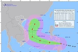 Công điện số 16 về việc chủ động ứng phó bão RAI