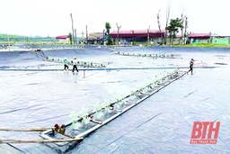 Đầu tư nâng cấp, hoàn thiện cơ sở hạ tầng nông nghiệp