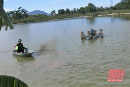 Huyện Triệu Sơn phát huy hiệu quả nguồn vốn vay giải quyết việc làm