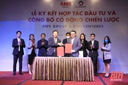 AMS Group và DVL Ventures ký kết thỏa thuận hợp tác chiến lược