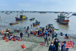 Theo dõi hoạt động của tàu cá và ngư dân sản xuất trên biển dịp Tết Nhâm Dần 2022