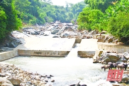 134 đập dâng bị hư hỏng