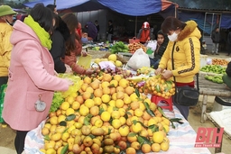 Đảm bảo cung cầu hàng hóa và thúc đẩy tiêu thụ nông sản trong dịp Tết Nguyên đán Nhâm Dần 2022