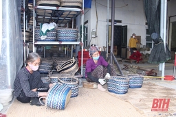 Nữ giám đốc giải quyết việc làm cho hàng trăm lao động