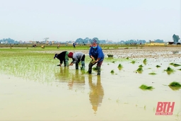 Nông dân nô nức xuống đồng sản xuất đầu xuân