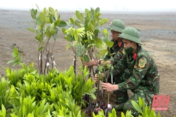 Bộ CHQS tỉnh phát động “Tết trồng cây đời đời nhớ ơn Bác Hồ”