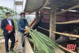 Agribank Thanh Hóa đầu tư nguồn vốn phát triển nông nghiệp, nông thôn