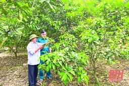 Từ “một làng tiên tiến kiểu mẫu” đến Thọ Xuân làm theo lời Bác