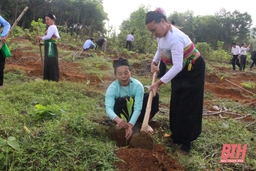 Toàn tỉnh trồng được 2.123.934 cây phân tán và 968 ha rừng trồng tập trung trong dịp Tết trồng cây