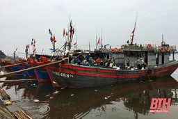 Ngư dân vươn khơi đầu năm