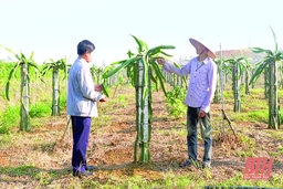 Tưới tiên tiến, tiết kiệm nước trong sản xuất -hướng phát triển nông nghiệp bền vững