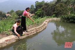 Phát triển nông nghiệp gắn với du lịch hiệu quả, bền vững