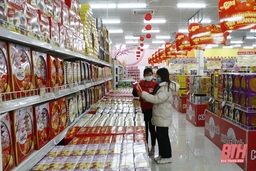 Phát triển thương mại nội địa