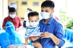 Tăng cường phòng, chống bệnh sốt xuất huyết do Dengue trên địa bàn tỉnh