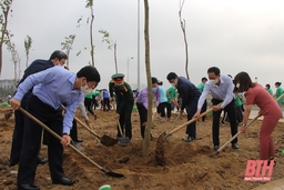 Thành phố Thanh hoá trồng hoa ban do huyện Điện Biên Đông lưu niệm