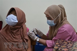 Kết quả khảo sát: Trên 86% người Indonesia có kháng thể chống COVID-19