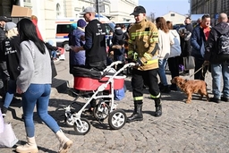 Ukraine: Hành lang nhân đạo được mở ở vùng lãnh thổ Luhansk