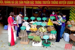 Trưng bày sản phẩm đặc trưng huyện Quan Hóa