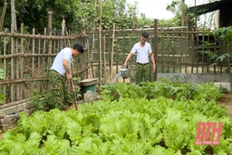 Bộ đội Thanh Hóa tăng gia sản xuất