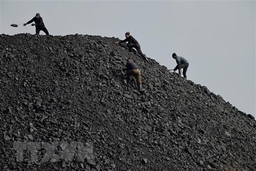 Các nước EU quan ngại về tác động lệnh cấm nhập khẩu than của Nga