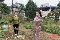 Xã Thành An phát triển kinh tế, nâng cao thu nhập cho người dân