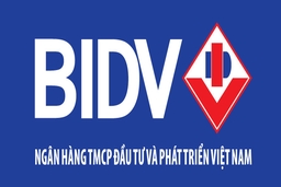 Thông báo tuyển dụng cán bộ năm 2022