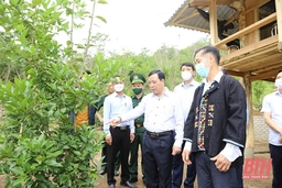 Phó Bí thư Thường trực Tỉnh ủy Lại Thế Nguyên thăm, khảo sát thực tế tại huyện Mường Lát