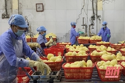 Huyện Nông Cống với các giải pháp phát triển kinh tế - xã hội