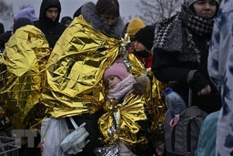 FAO kêu gọi hỗ trợ khẩn cấp cho người dân Ukraine