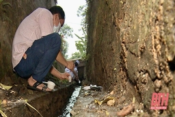 Tăng cường công tác chẩn đoán, điều trị sốt xuất huyết Dengue