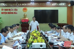 Ban  Kinh tế - Ngân sách  HĐND tỉnh giám sát tại huyện Hoằng  Hoá