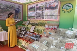 Huyện Nông Cống phát triển nghề chế biến lương thực, thực phẩm