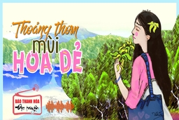 [Radio] - Tản văn: Thoảng thơm mùi hoa Dẻ