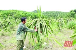 Để chính sách dân tộc tiếp tục đi vào cuộc sống