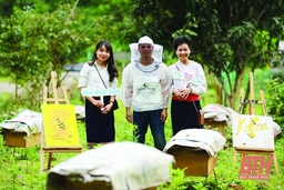 Nữ giám đốc HTX 9X và ước mơ nâng tầm sản phẩm nông sản rừng núi