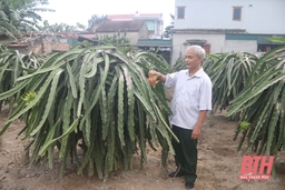 Người cao tuổi thi đua làm kinh tế giỏi