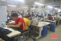 Huyện Hậu Lộc hỗ trợ, tạo điều kiện thúc đẩy doanh nghiệp phát triển