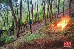 Hạt kiểm lâm ven biển tăng cường bảo vệ rừng, phòng cháy, chữa cháy rừng mùa nắng nóng