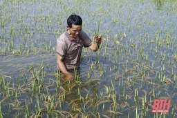 Chủ động ứng phó với mưa lũ, vận hành hồ chứa đảm bảo an toàn cho công trình và hạ du