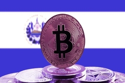 El Salvador bác bỏ thiệt hại do bitcoin rớt giá kỷ lục