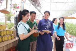 Hướng sản xuất mới của nông trại Nhung Farm