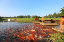 Những điểm Check-in không thể bỏ lỡ hè này của golfer